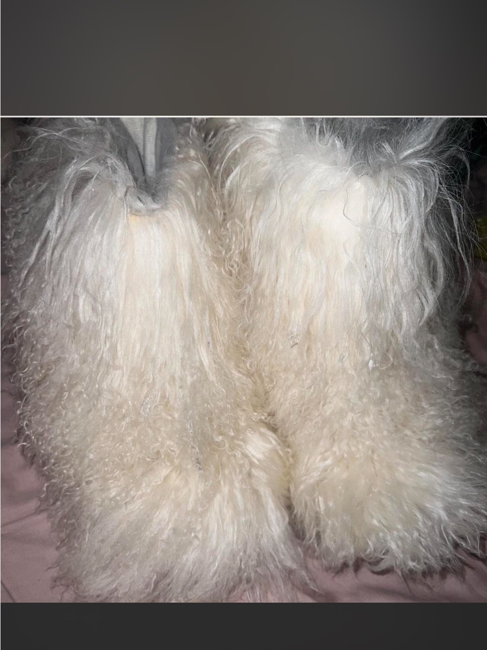 UGG Cream Fluffy Booties